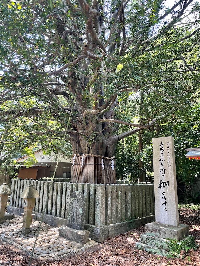 f:id:metakin45:20210729003858j:image