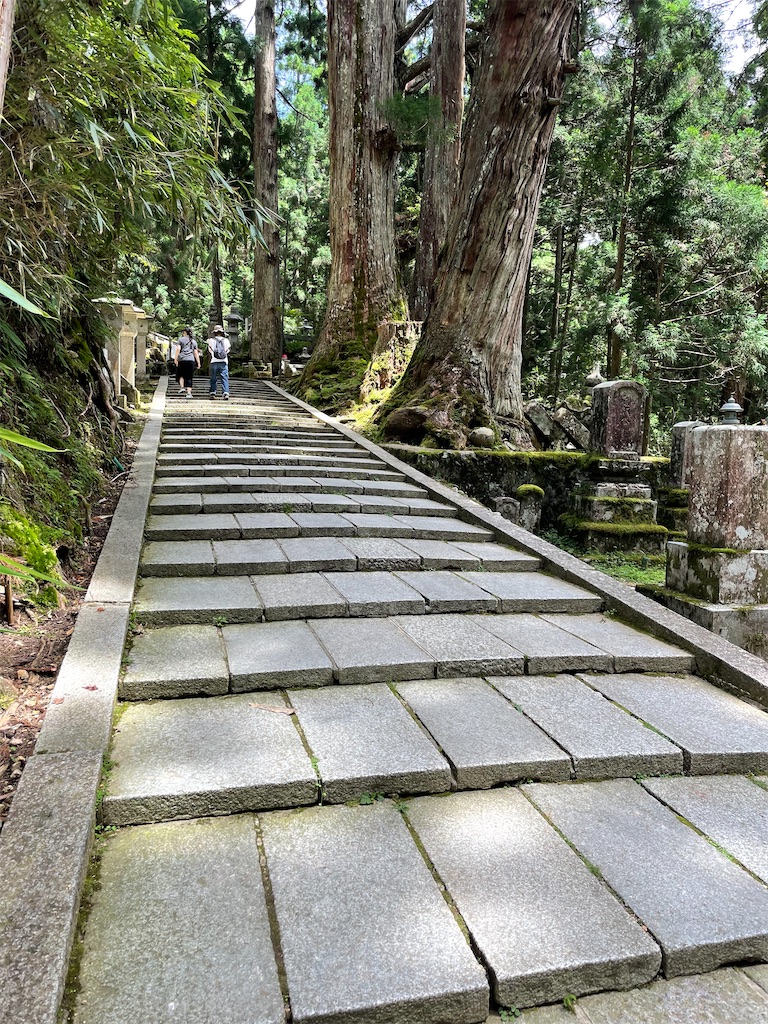 f:id:metakin45:20210729005203j:image