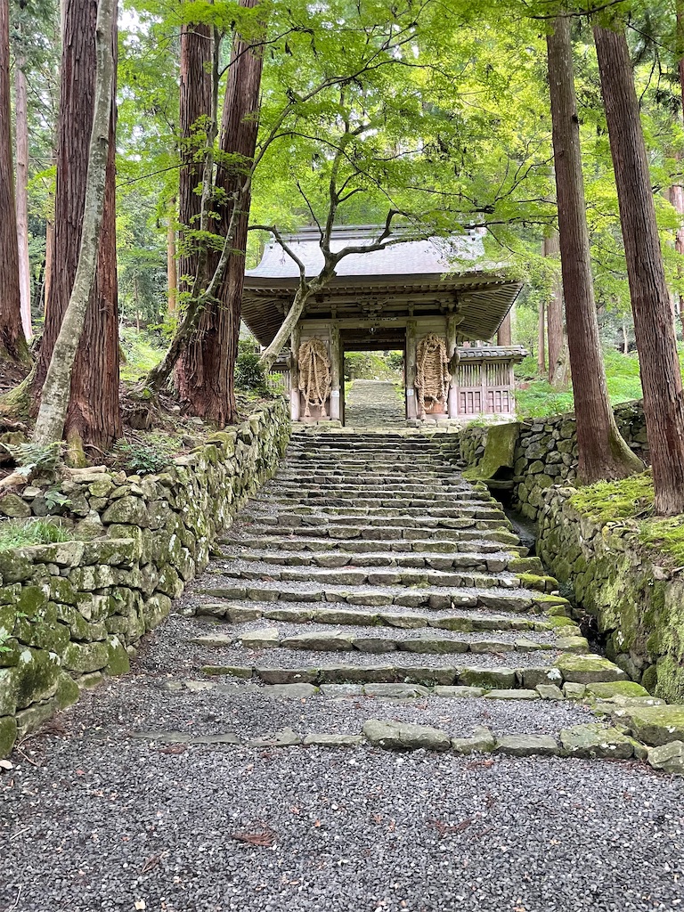 f:id:metakin45:20220207163654j:image