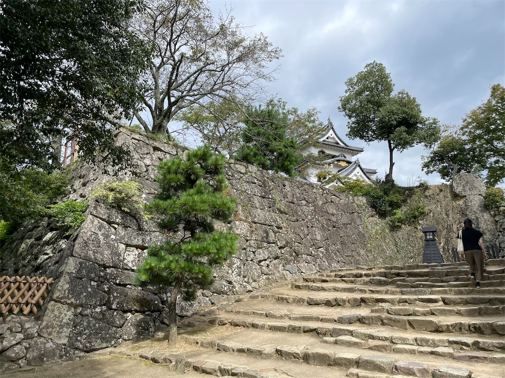 f:id:metakin45:20220207163702j:image