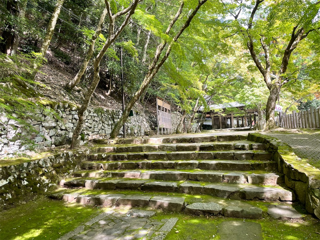 f:id:metakin45:20220207163730j:image