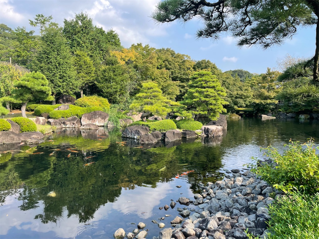 f:id:metakin45:20220216121250j:image