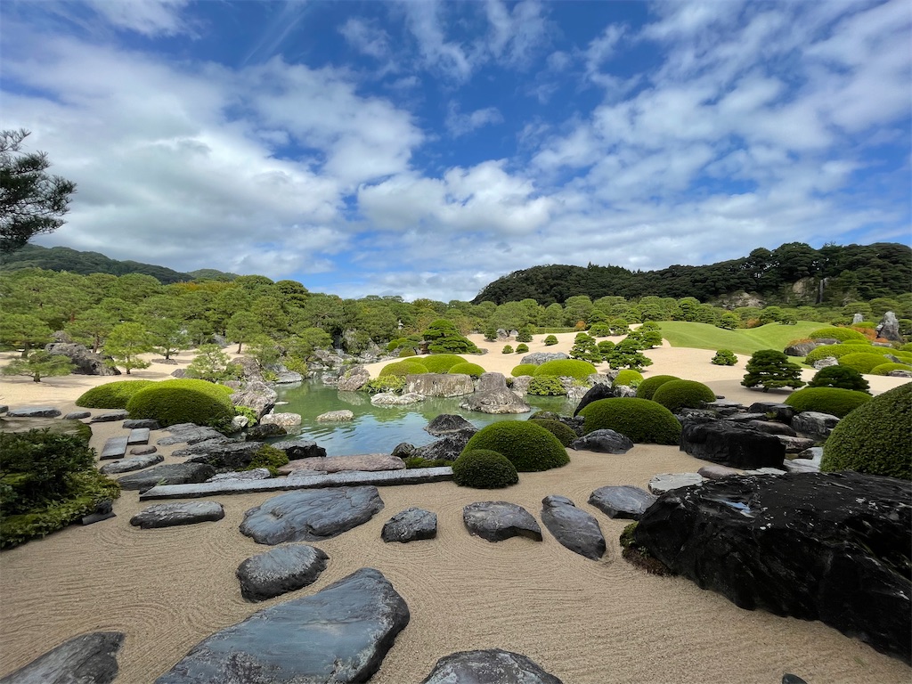 f:id:metakin45:20220307171307j:image