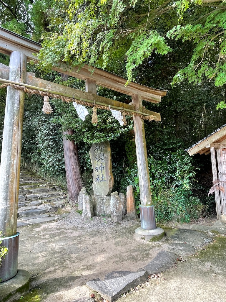 f:id:metakin45:20220307171336j:image