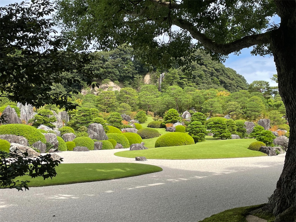 f:id:metakin45:20220307171353j:image