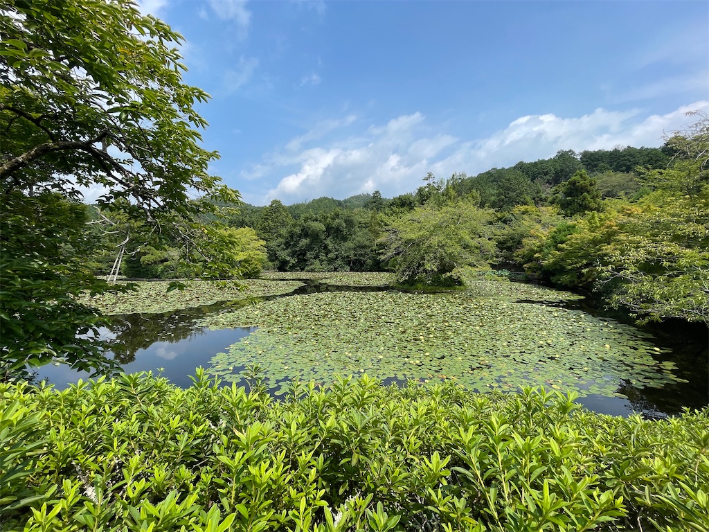 f:id:metakin45:20220816202620j:image