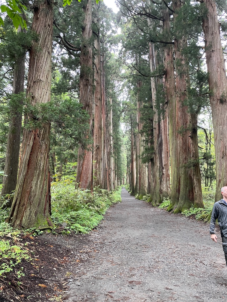 f:id:metakin45:20220928195733j:image