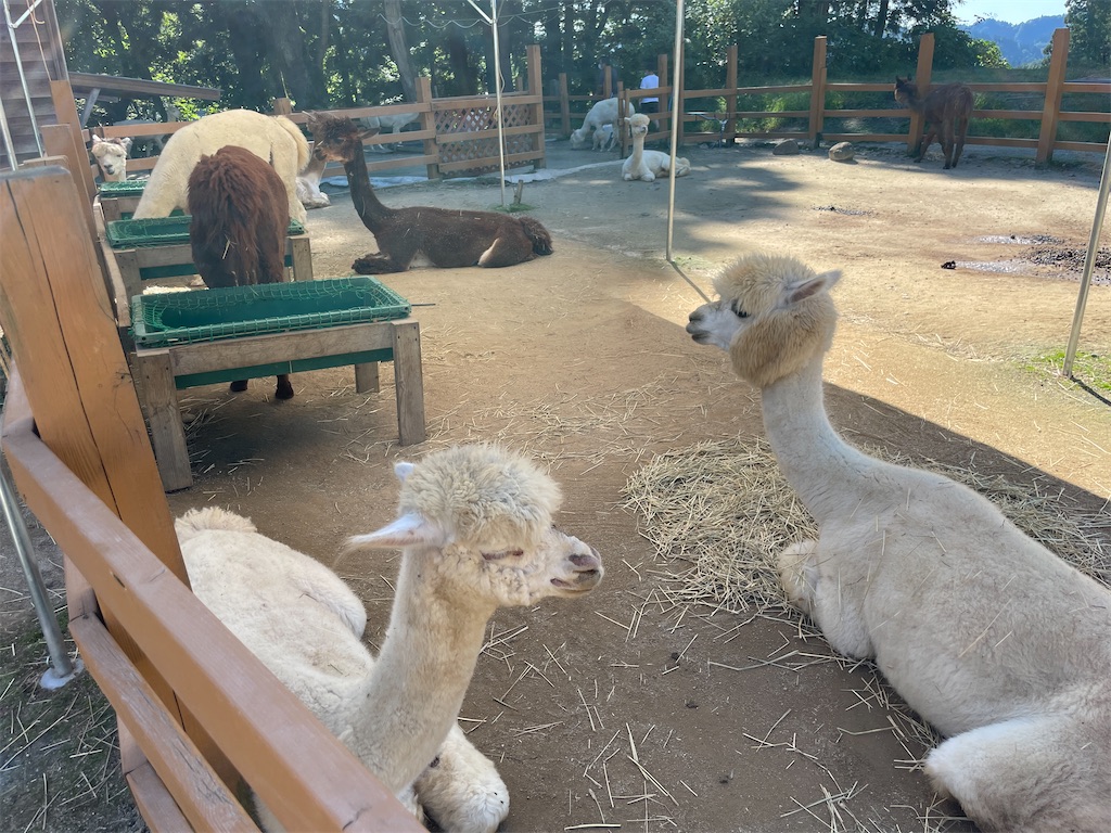 f:id:metakin45:20221002185953j:image