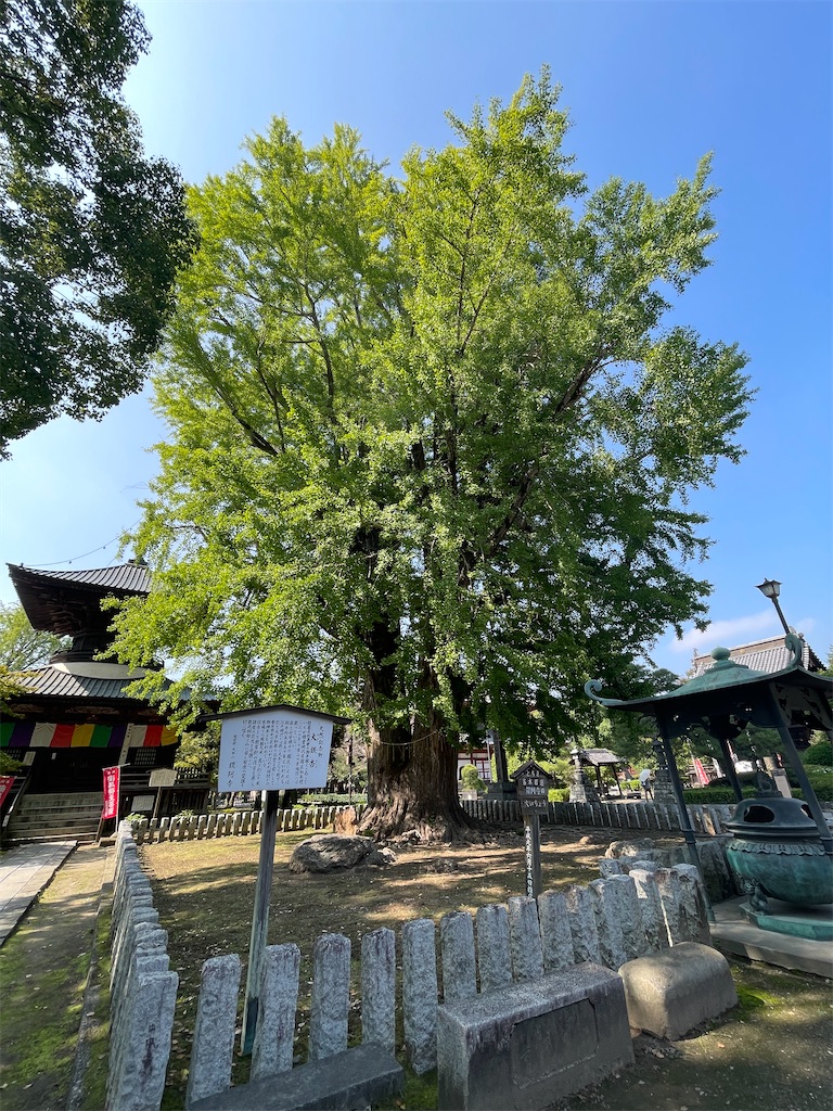 f:id:metakin45:20231002192929j:image