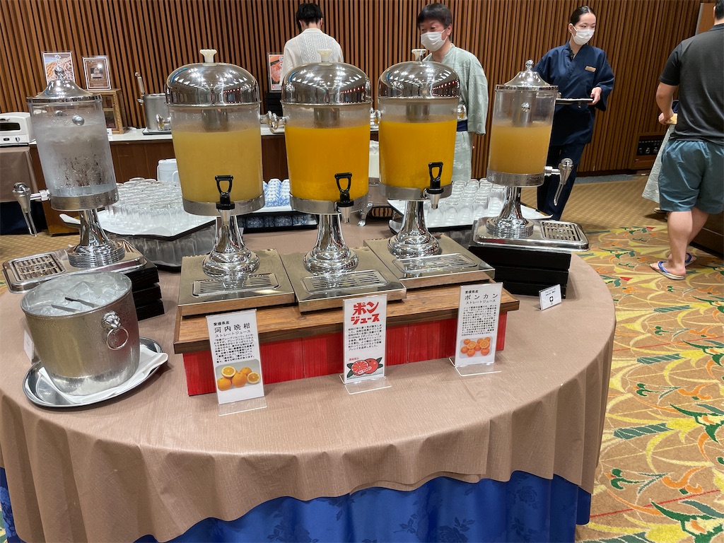 f:id:metakin45:20251020223408j:image