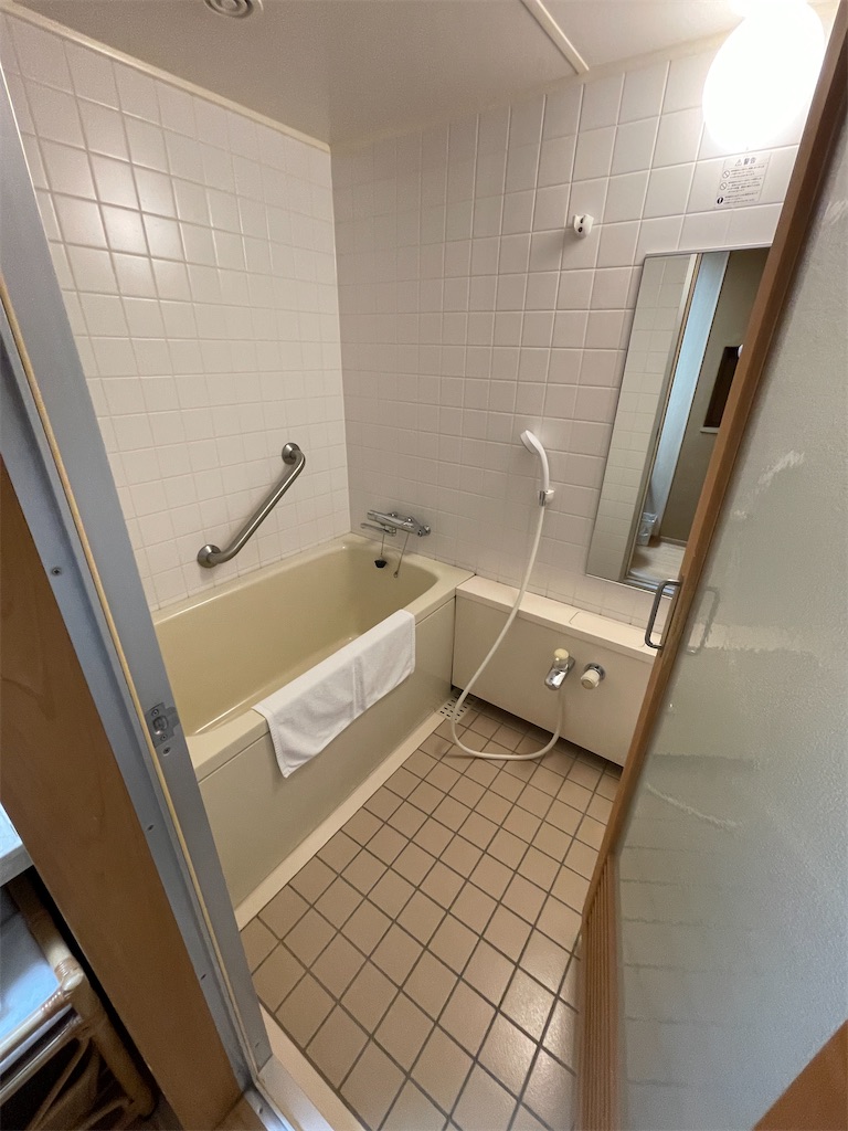 f:id:metakin45:20251020223437j:image