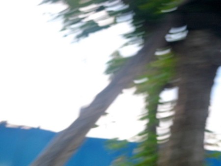 f:id:metakit:20110324221927j:image