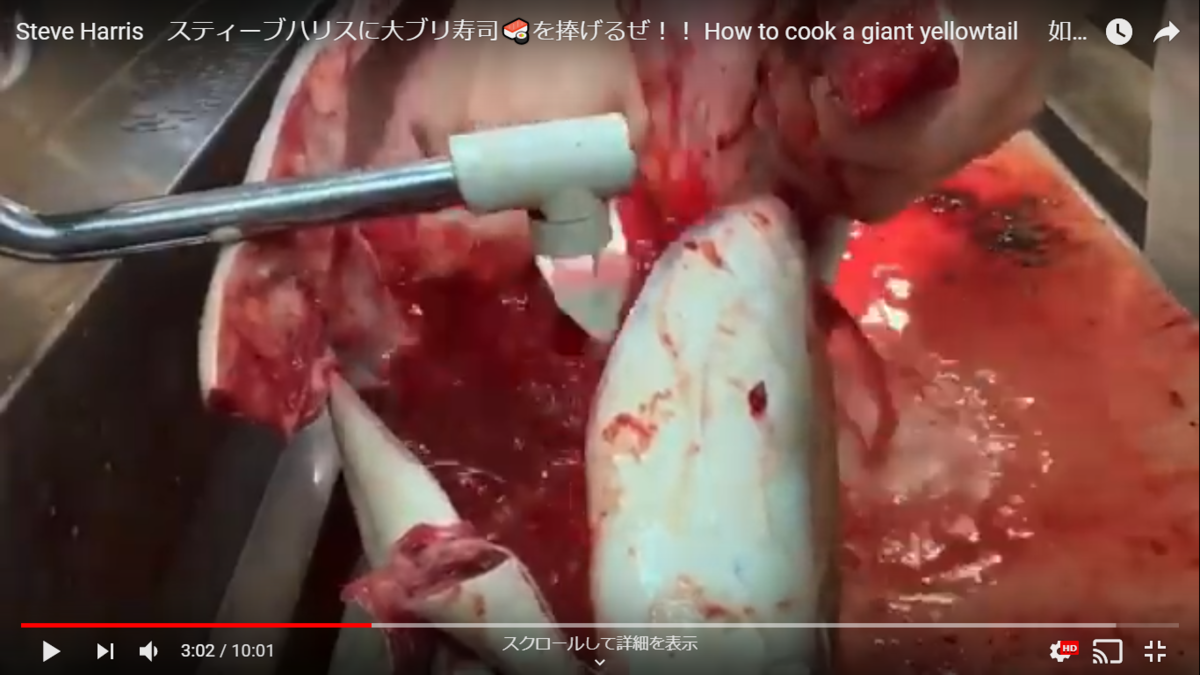 f:id:metalsushi:20200122152724p:plain f:id:metalsushi:20200122152724p:plain