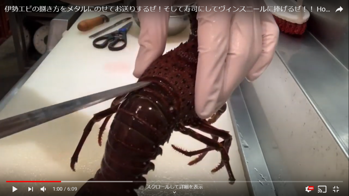 f:id:metalsushi:20200124121325p:plain f:id:metalsushi:20200124121325p:plain