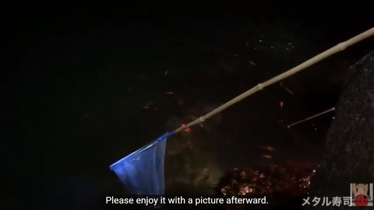 f:id:metalsushi:20200326140320p:plain f:id:metalsushi:20200326140320p:plain