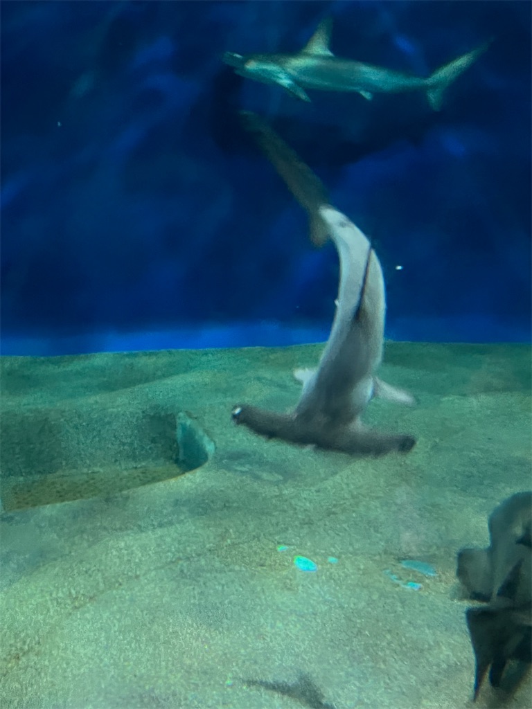 f:id:metared19:20230107145600j:image