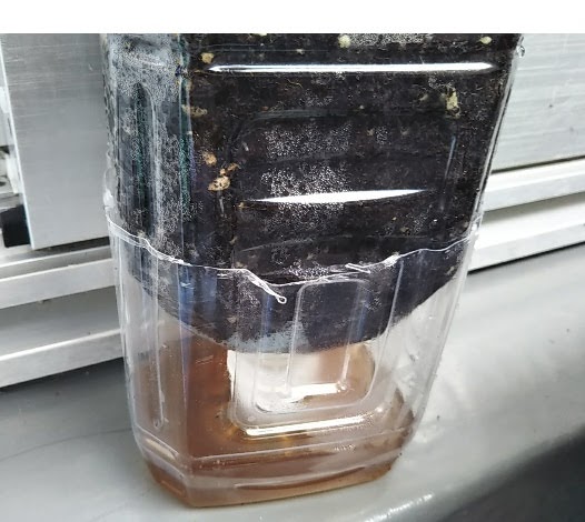 ベランダ菜園 特別な材料は使わないペットボトル菜園の作り方 保育園で給食を作っています ベランダ菜園 特別な材料は使わないペットボトル菜園の作り方 保育園で給食を作っています