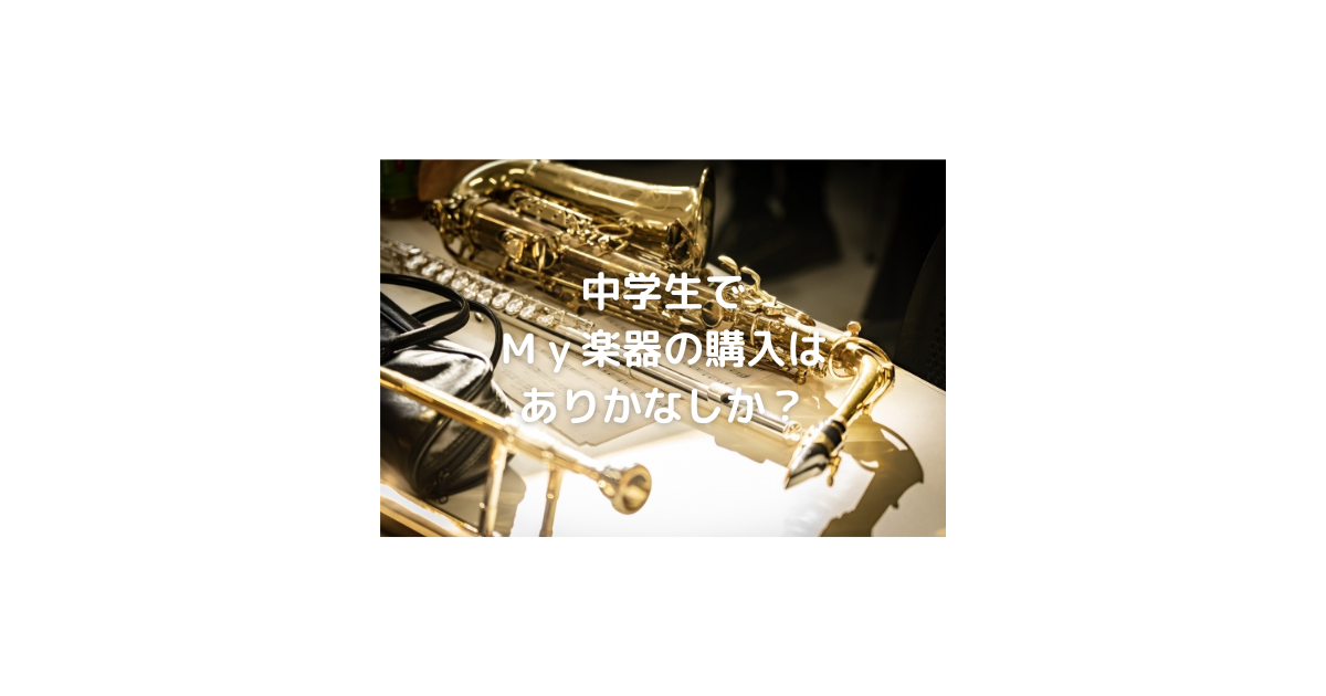 中学校吹奏楽部 my楽器購入はするべきなのかどうなのか おやっさんのトリプルlife 中学校吹奏楽部 my楽器購入はするべきなのかどうなのか おやっさんのトリプルlife