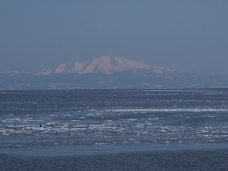 f:id:meter-18:20100220132101j:image