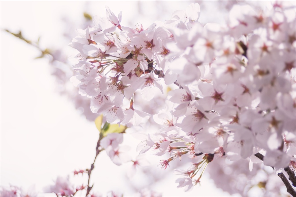 f:id:method-of-pharmacist:20210303154532j:image f:id:method-of-pharmacist:20210303154532j:image