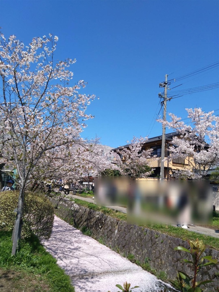 f:id:metmet:20240721034001j:image