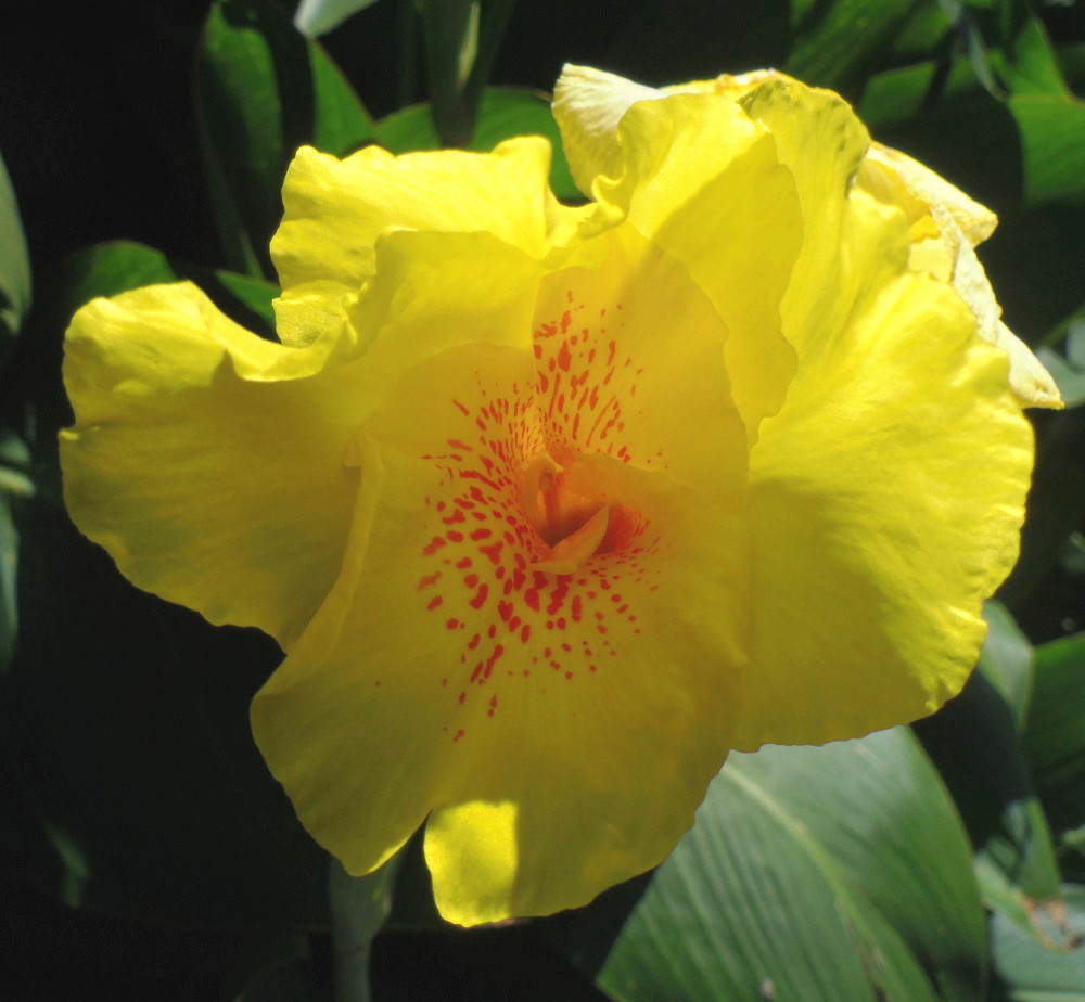 f:id:metonoat:20200919154222j:plain