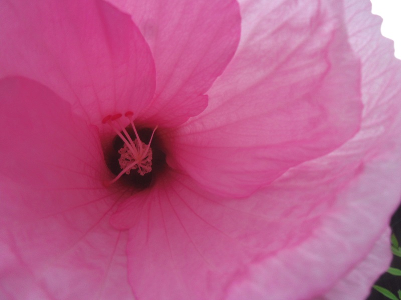 f:id:metonoat:20200919155139j:plain