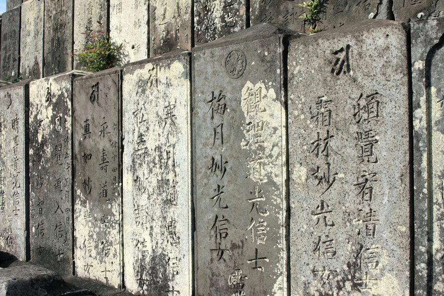 f:id:metonoat:20201001073955j:plain