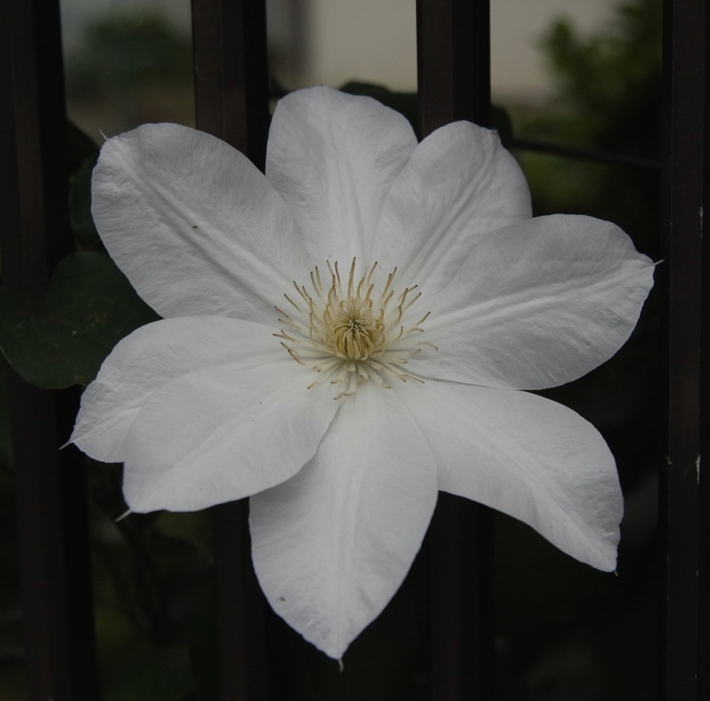 f:id:metonoat:20201002174117j:plain