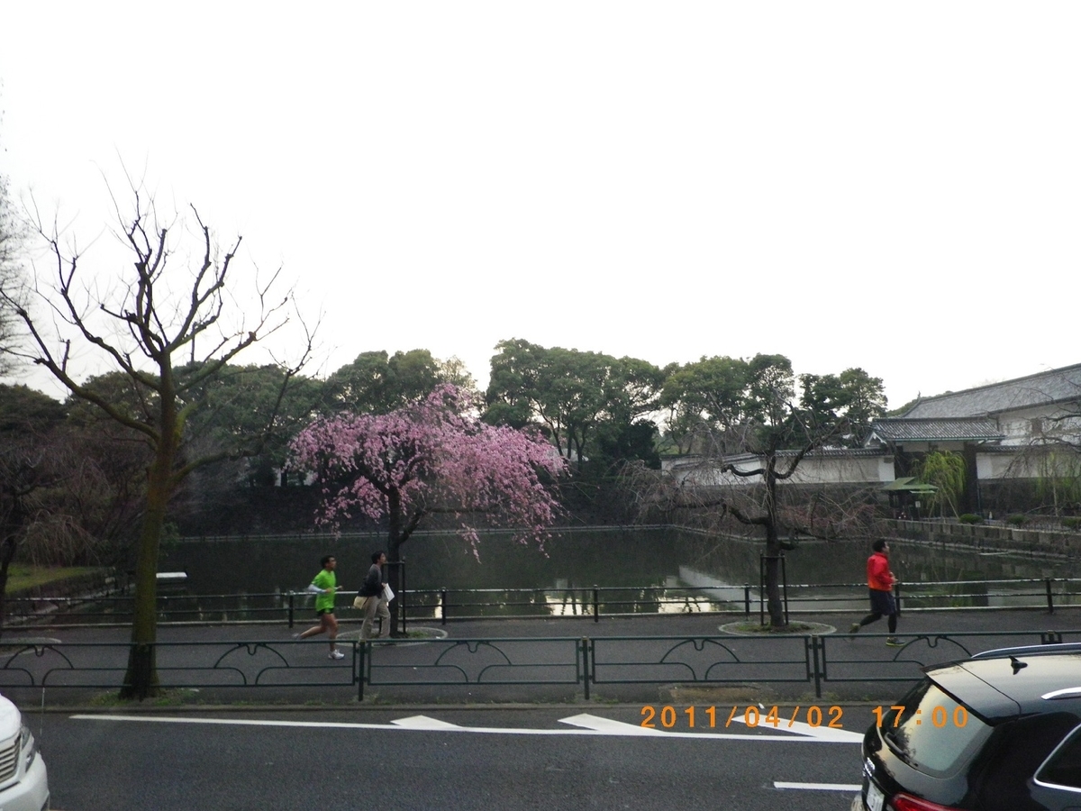 f:id:metonoat:20210311170012j:plain