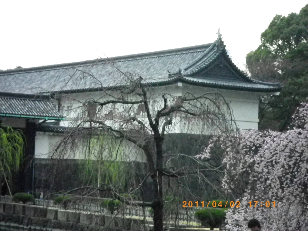 f:id:metonoat:20210311170038j:plain