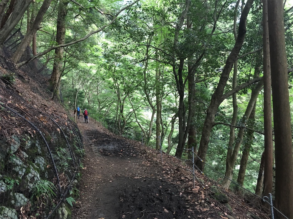 神奈川県伊勢原市大山