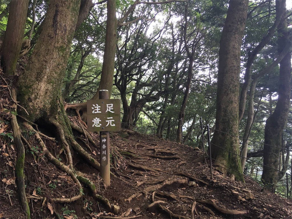 大山登山道