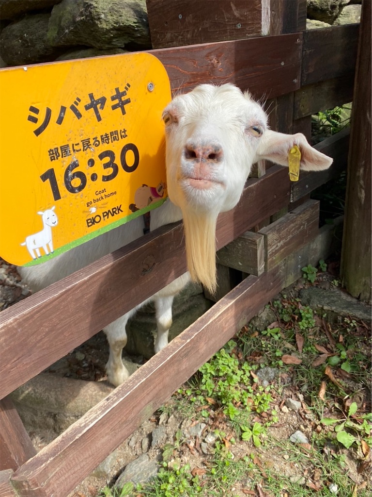 f:id:metooo:20211004135220j:image