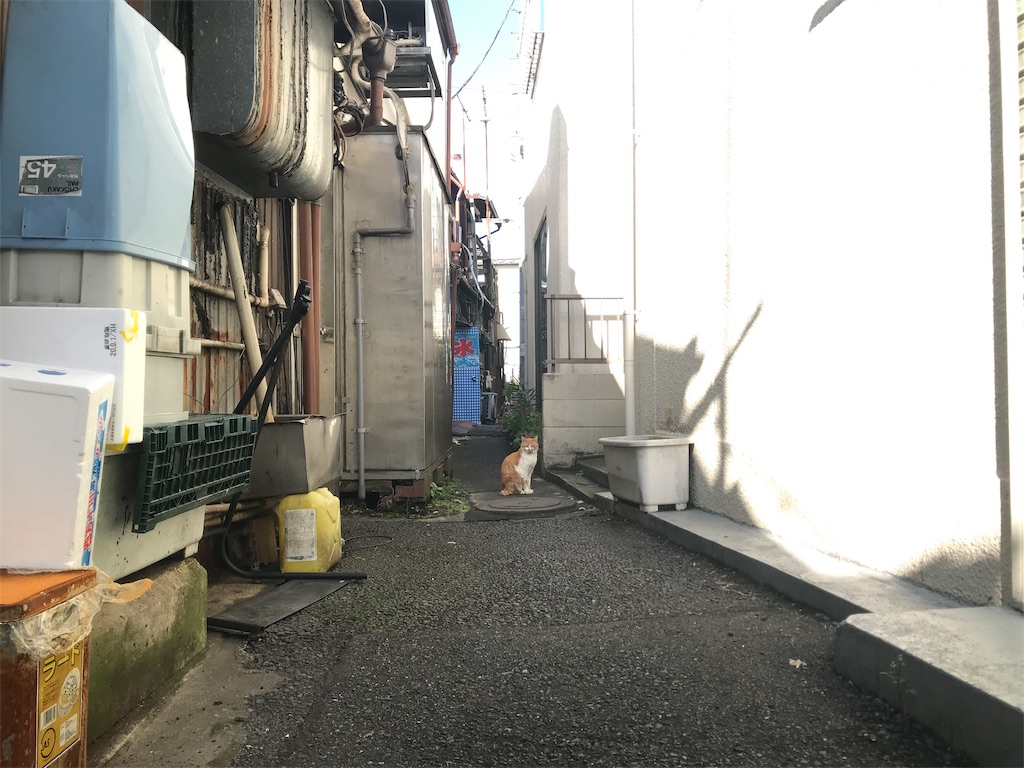 f:id:metrocross:20191104140610j:image