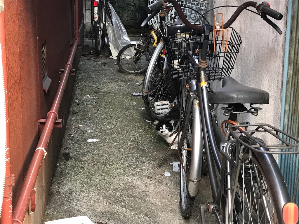 f:id:metrocross:20191104142341j:image