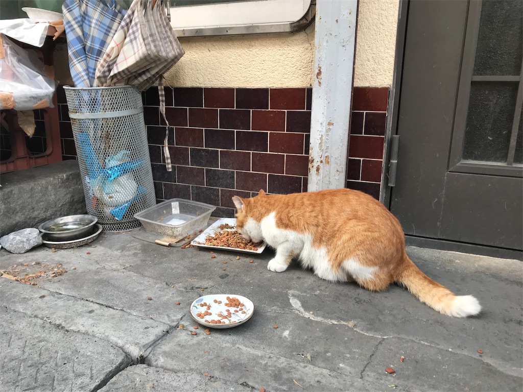 f:id:metrocross:20191104142405j:image