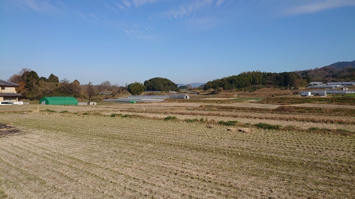f:id:metronblog:20201229140458j:plain