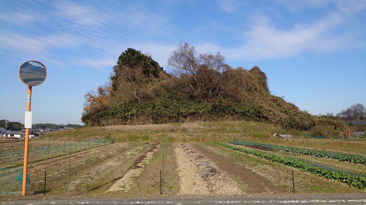 f:id:metronblog:20201229140534j:plain