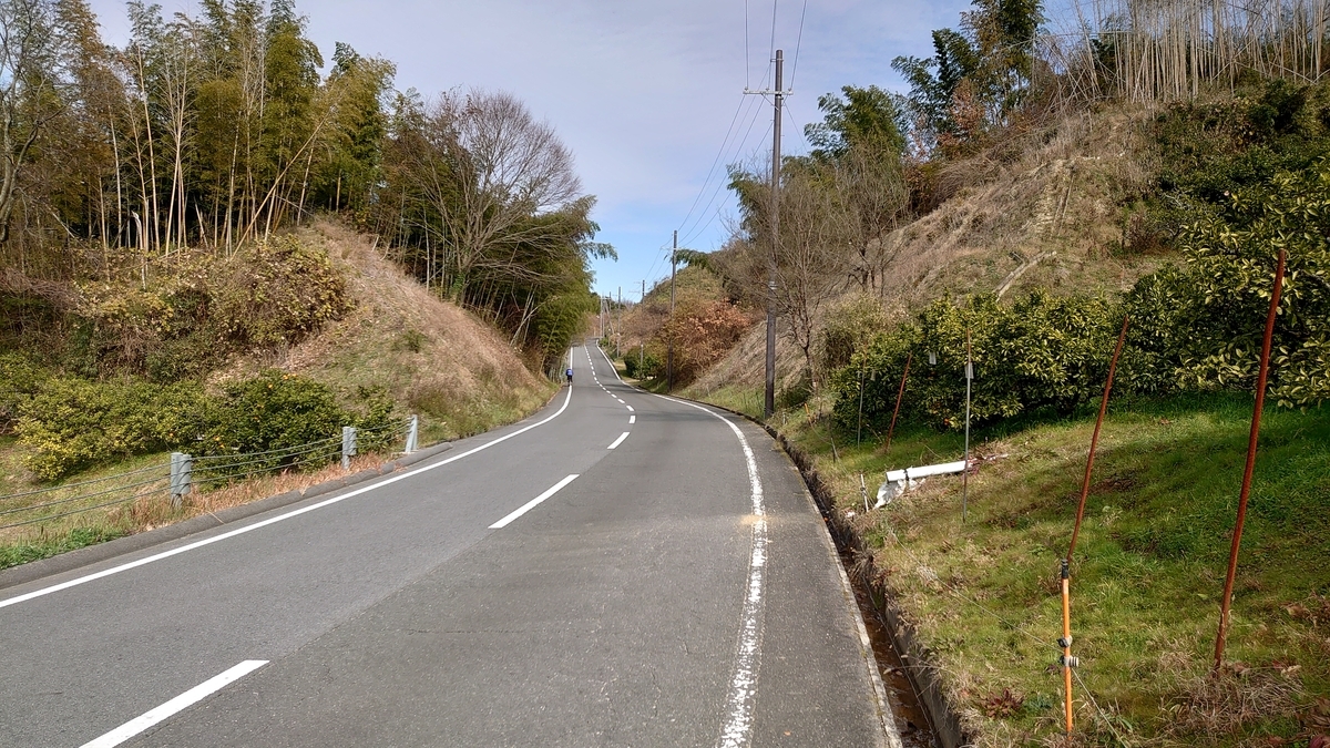 f:id:metronblog:20201229141631j:plain