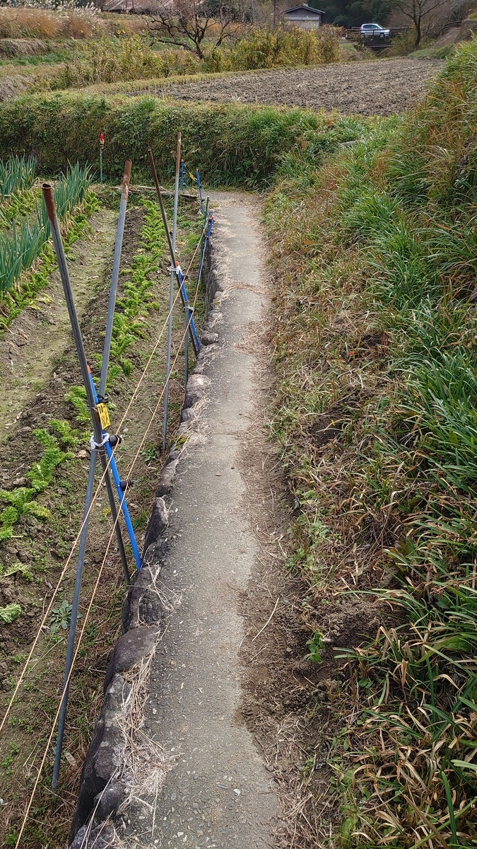 f:id:metronblog:20201229144906j:plain