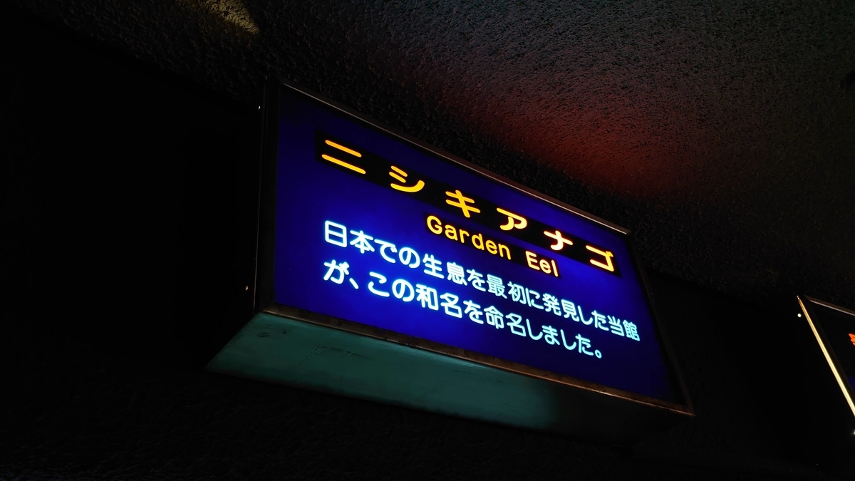 f:id:metronblog:20210312144856j:plain