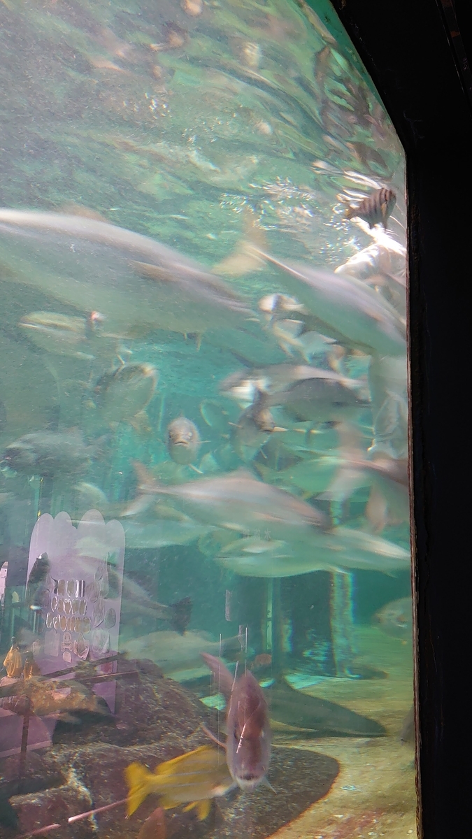 f:id:metronblog:20210312150943j:plain