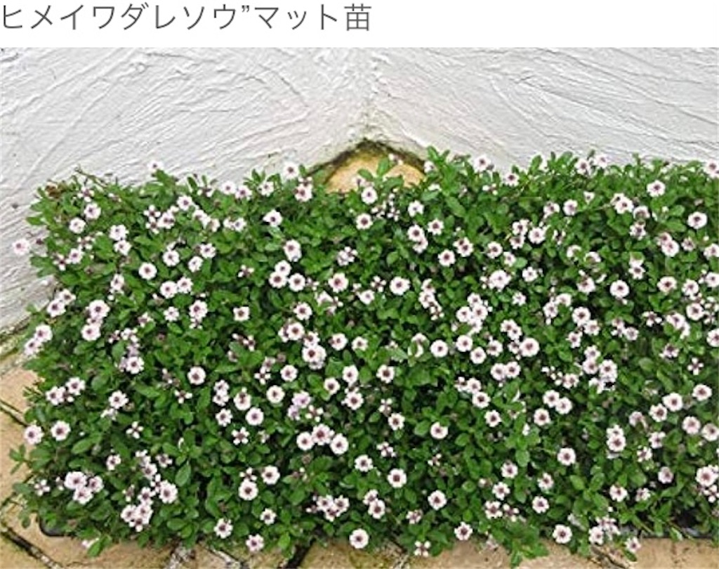 f:id:metronome33:20230807222201j:image f:id:metronome33:20230807222201j:image