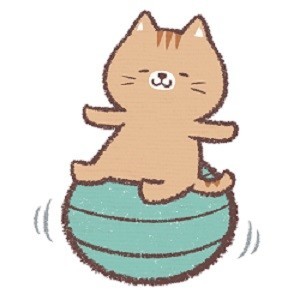 バランスボールで運動するネコ