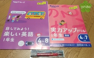 チャレンジ1年生のサブテキスト