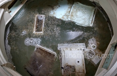 洗濯槽に浮いてきた黒カビ