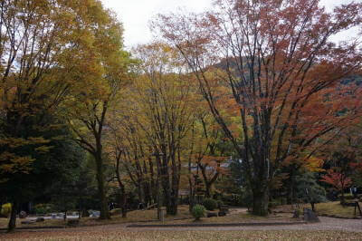 紅葉シーズンの岐阜公園