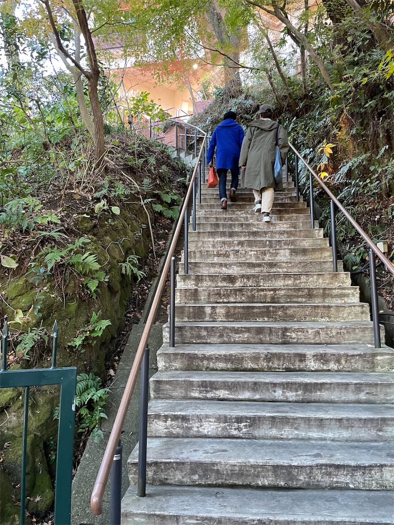 f:id:metycomaki:20220126153531j:image f:id:metycomaki:20220126153531j:image