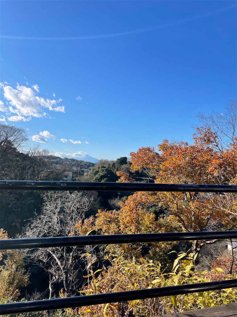 f:id:metycomaki:20220126153536j:image f:id:metycomaki:20220126153536j:image